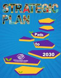 Strategic Plan: Path to 2023